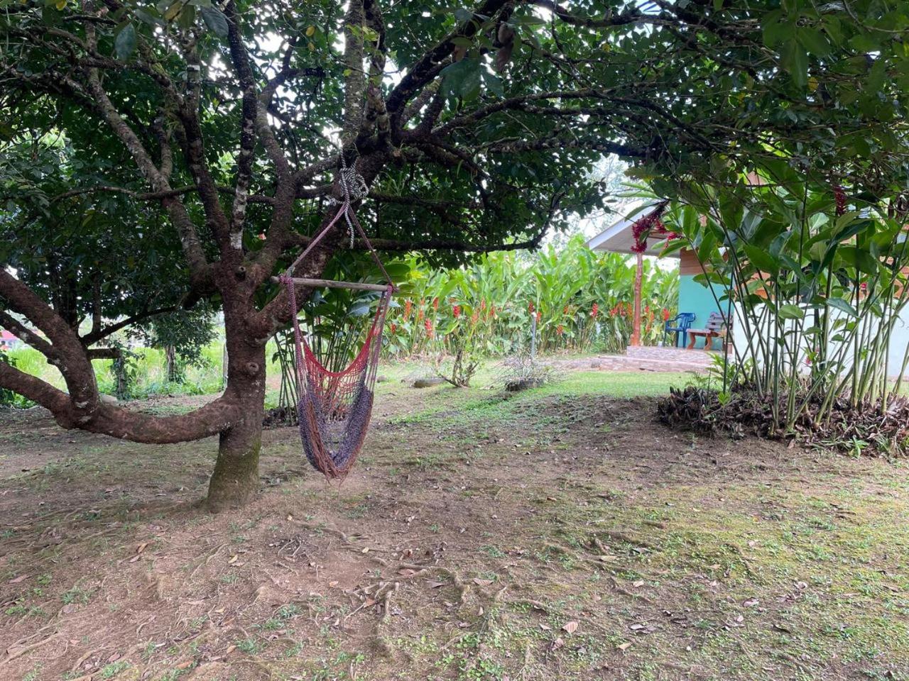 Cabana Rural Ave Del Paraiso La Fortuna Extérieur photo