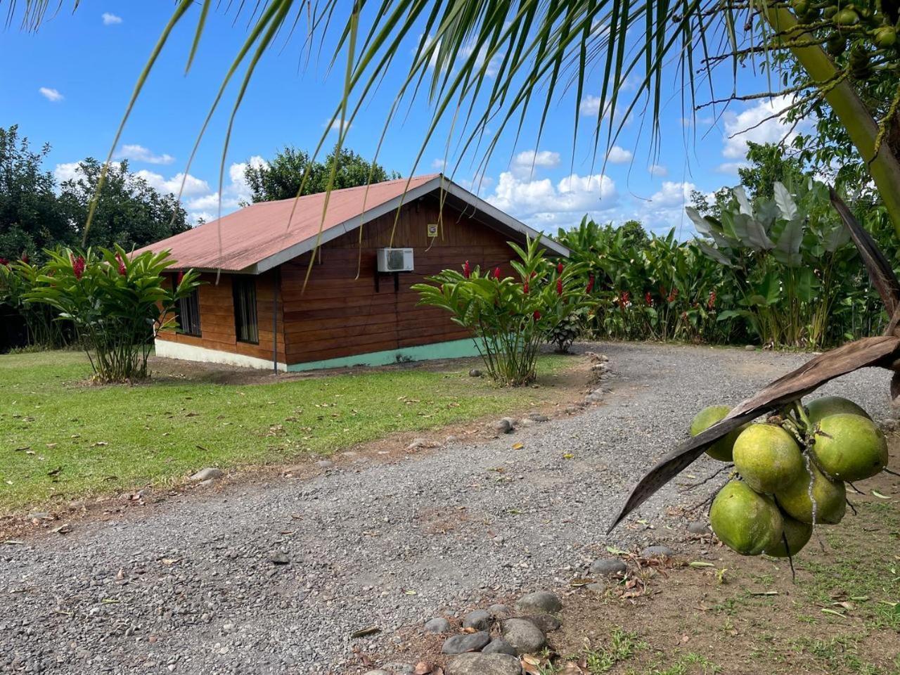 Cabana Rural Ave Del Paraiso La Fortuna Extérieur photo